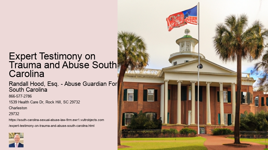 Expert Testimony on Trauma and Abuse South Carolina