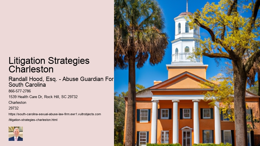 Litigation Strategies Charleston